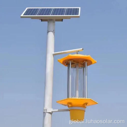 Solar Mosquito Killer Lamp solar light bug zapper Factory